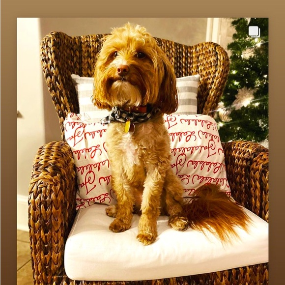 Meet your Posher, Melinda - Picture 1 of 2